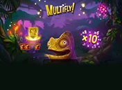 Multifly